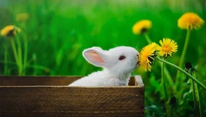 宁波男篮更新动态：刘晓宇新秀年06赛季的时候你几岁？